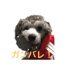 Lion′s life☆（個別スタンプ：5）