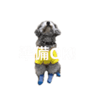 Lion′s life☆（個別スタンプ：7）
