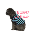Lion′s life☆（個別スタンプ：8）