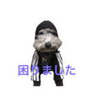 Lion′s life☆（個別スタンプ：12）