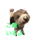 Lion′s life☆（個別スタンプ：14）