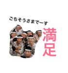 濱之町 虎兎辰（個別スタンプ：23）