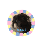うえたもも（個別スタンプ：1）