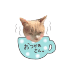 ここおれ♡（個別スタンプ：1）