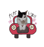 ここおれ♡（個別スタンプ：2）