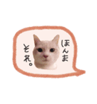 ここおれ♡（個別スタンプ：4）
