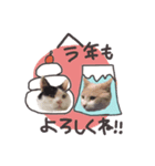 ここおれ♡（個別スタンプ：8）