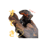 ごんちゃんと愉快な仲間たち（個別スタンプ：7）