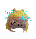 ごんちゃんと愉快な仲間たち（個別スタンプ：8）