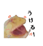 ごんちゃんと愉快な仲間たち（個別スタンプ：9）