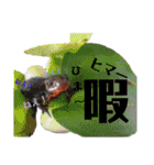 ごんちゃんと愉快な仲間たち（個別スタンプ：10）