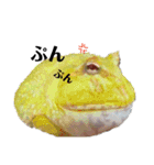 ごんちゃんと愉快な仲間たち（個別スタンプ：15）