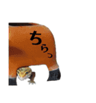 ごんちゃんと愉快な仲間たち（個別スタンプ：25）