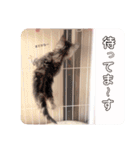 ゆずとミル【ちっちゃいものクラブ】その1（個別スタンプ：14）
