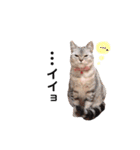 ゆずとミル【ちっちゃいものクラブ】その1（個別スタンプ：15）