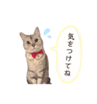 ゆずとミル【ちっちゃいものクラブ】その1（個別スタンプ：17）