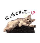 ゆずとミル【ちっちゃいものクラブ】その1（個別スタンプ：19）