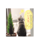 ゆずとミル【ちっちゃいものクラブ】その1（個別スタンプ：22）