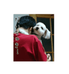 かわいい犬面白いコメント（個別スタンプ：7）