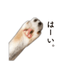 ちまきと一緒。（個別スタンプ：5）