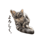 ちまきと一緒。（個別スタンプ：7）