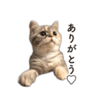 ちまきと一緒。（個別スタンプ：10）