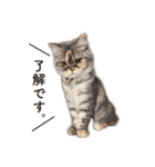 ちまきと一緒。（個別スタンプ：12）