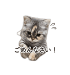 ちまきと一緒。（個別スタンプ：17）