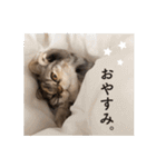 ちまきと一緒。（個別スタンプ：21）