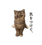 ちまきと一緒。（個別スタンプ：29）