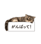ちまきと一緒。（個別スタンプ：32）
