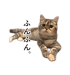 ちまきと一緒。（個別スタンプ：34）