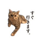 ちまきと一緒。（個別スタンプ：36）
