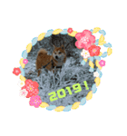 柴犬サーくん賀正あり（個別スタンプ：25）