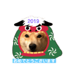 柴犬サーくん賀正あり（個別スタンプ：28）