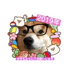 柴犬サーくん賀正あり（個別スタンプ：29）