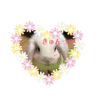 うさぎのリンク 日常使いに便利です（個別スタンプ：2）