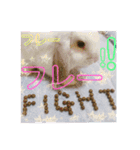 うさぎのリンク 日常使いに便利です（個別スタンプ：8）