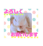 うさぎのリンク 日常使いに便利です（個別スタンプ：12）