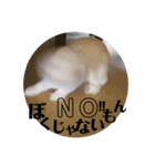 うさぎのリンク 日常使いに便利です（個別スタンプ：13）