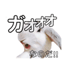 うさぎのリンク 日常使いに便利です（個別スタンプ：14）