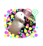 うさぎのリンク 日常使いに便利です（個別スタンプ：16）