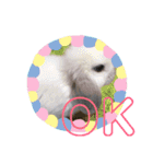 うさぎのリンク 日常使いに便利です（個別スタンプ：17）