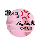 うさぎのリンク 日常使いに便利です（個別スタンプ：19）
