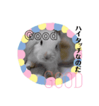 うさぎのリンク 日常使いに便利です（個別スタンプ：22）