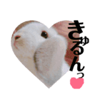 うさぎのリンク 日常使いに便利です（個別スタンプ：24）