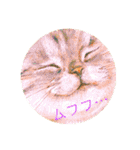 無我むチュー（個別スタンプ：6）