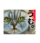 無我むチュー（個別スタンプ：10）