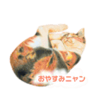 無我むチュー（個別スタンプ：23）