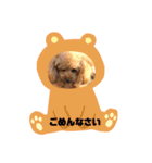 高橋家のモカ（個別スタンプ：3）